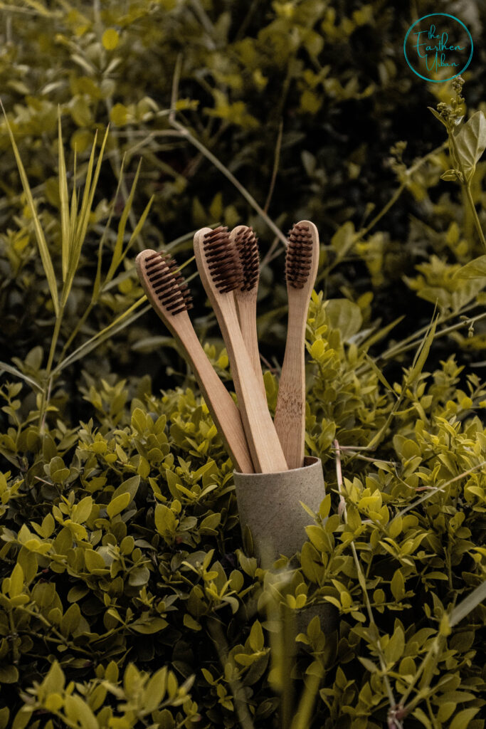wooden toothbrush in the middle of a shrub
